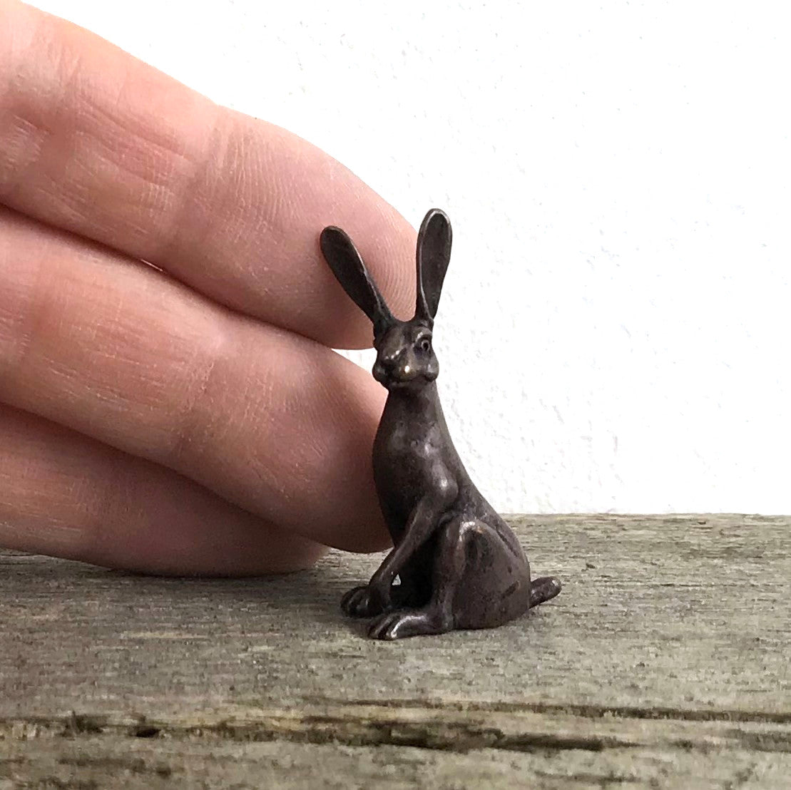 Sitting Hare