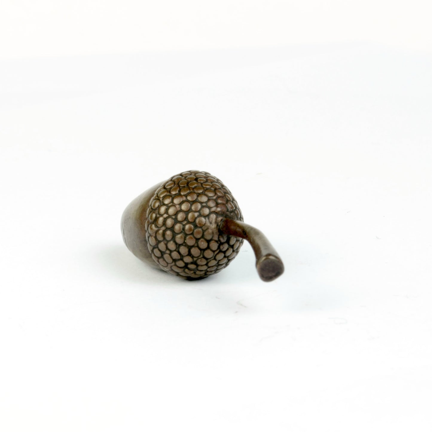 Acorn