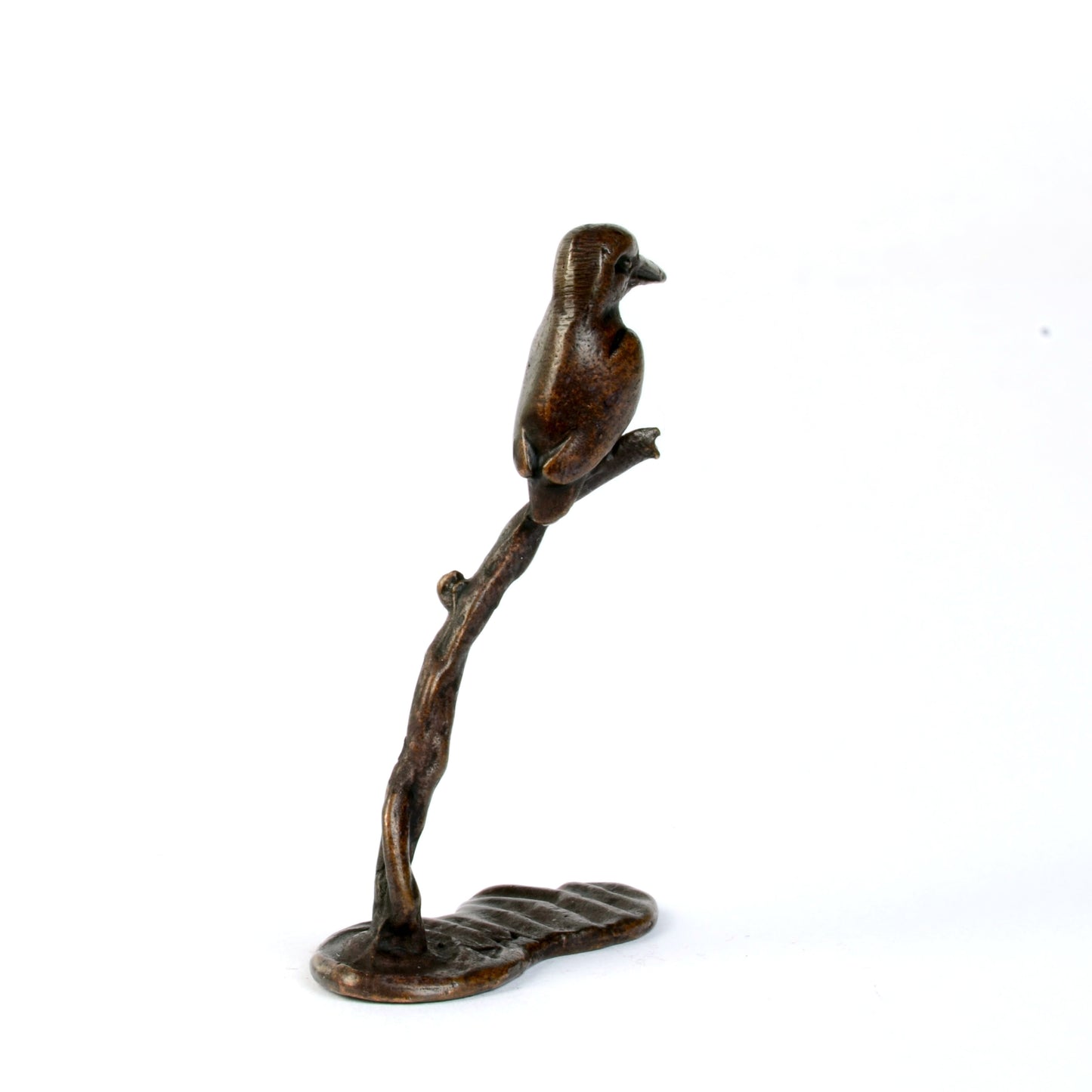 Kingfisher on Branch