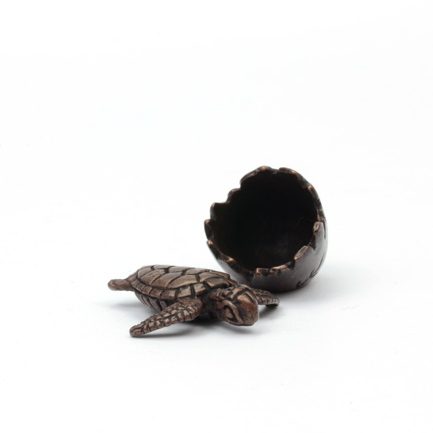Turtle in Egg Shell