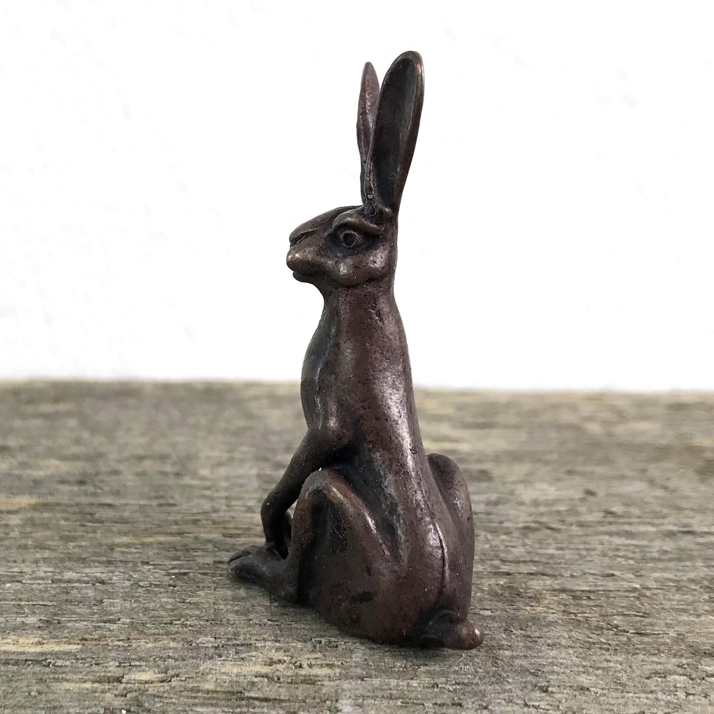 Sitting Hare