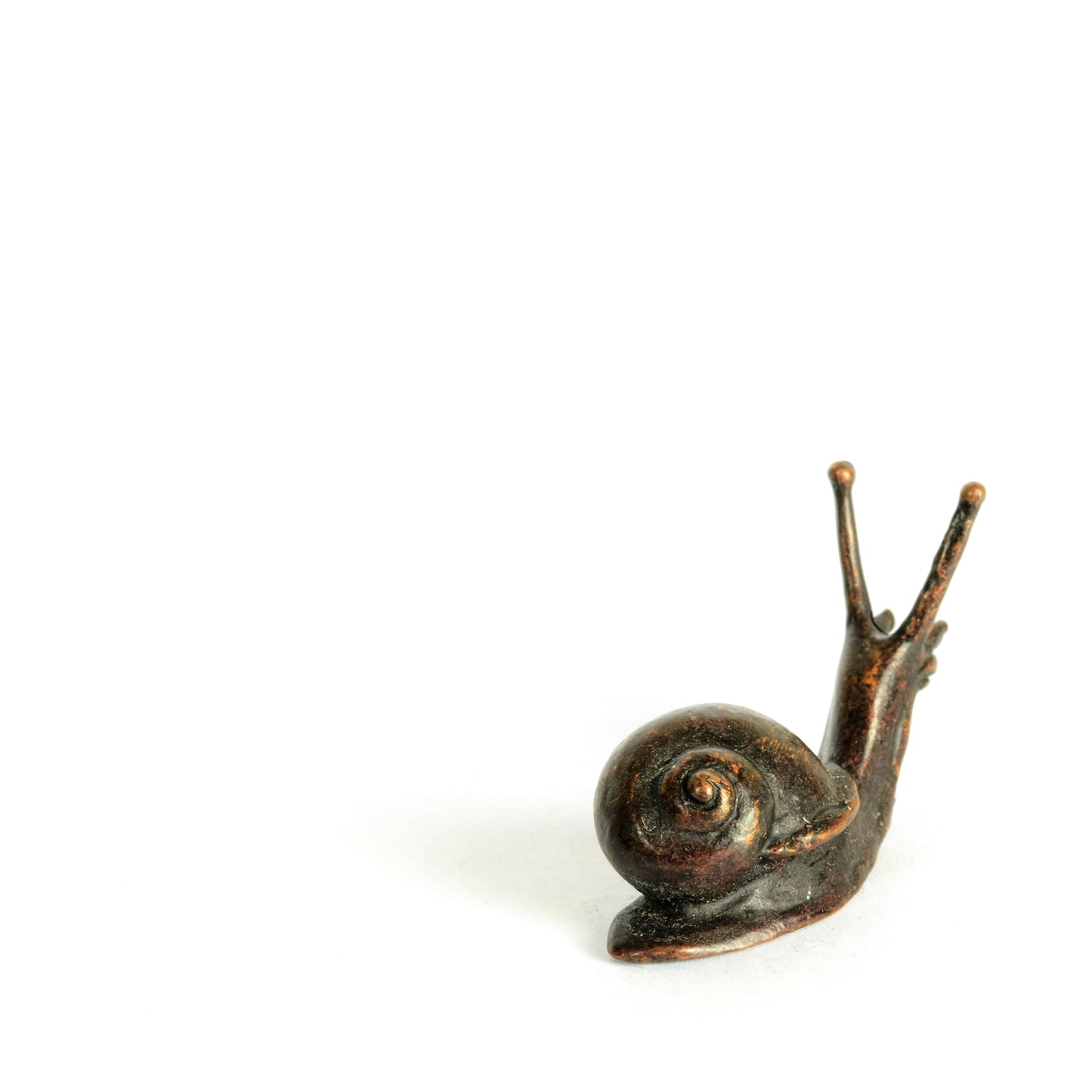 Baby Snail