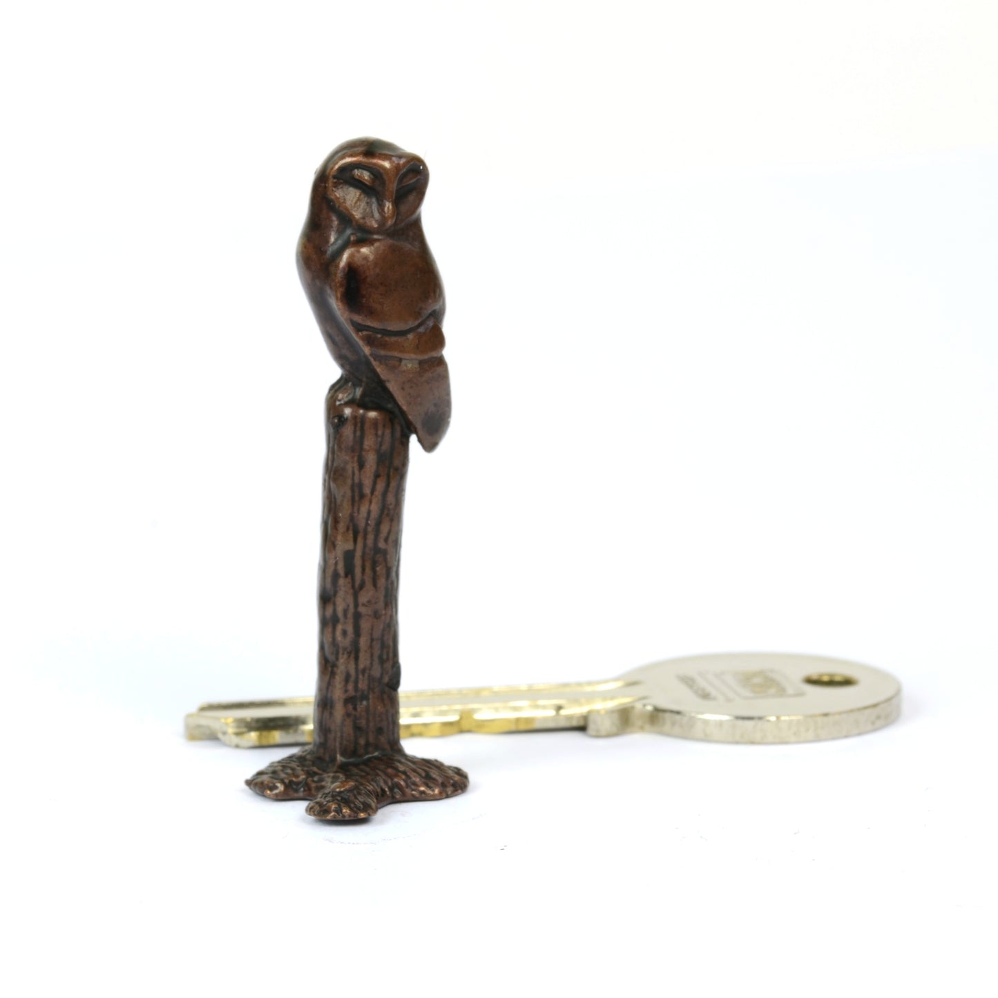 Barn Owl on Tree Stump