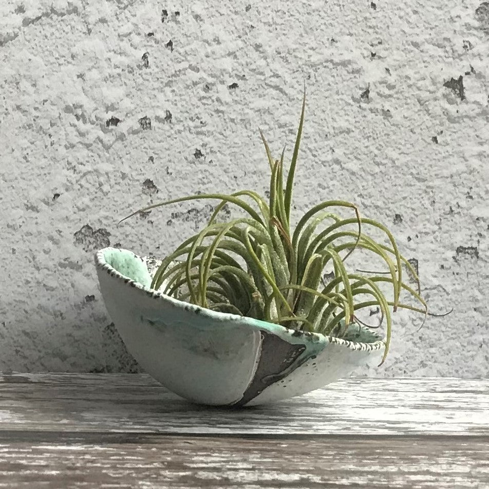 Red Clay Seashell Bowl