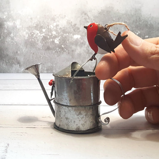 Robin on Watering Can