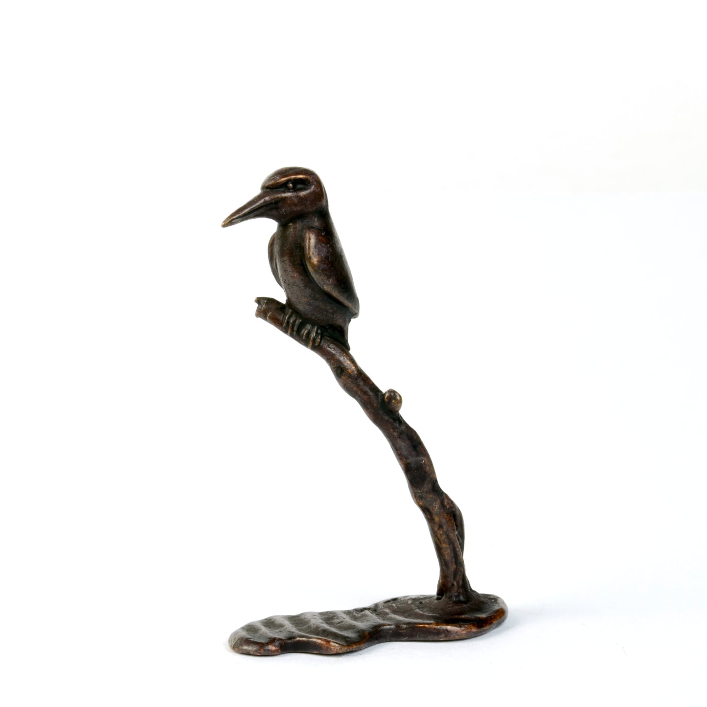 Kingfisher on Branch