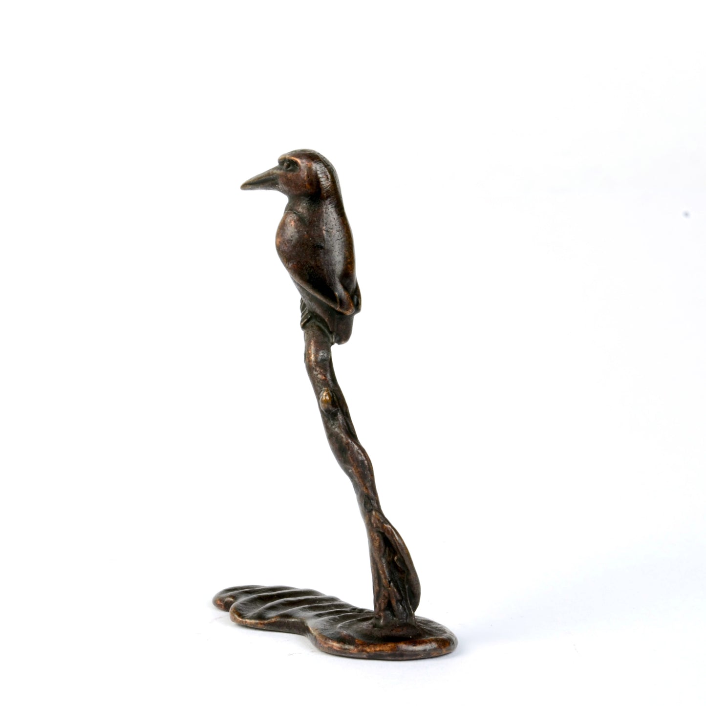 Kingfisher on Branch