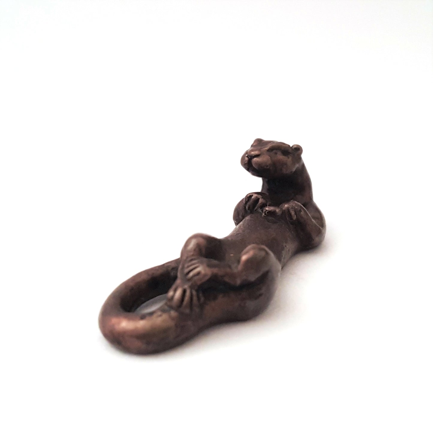 Otter Swimming on Back