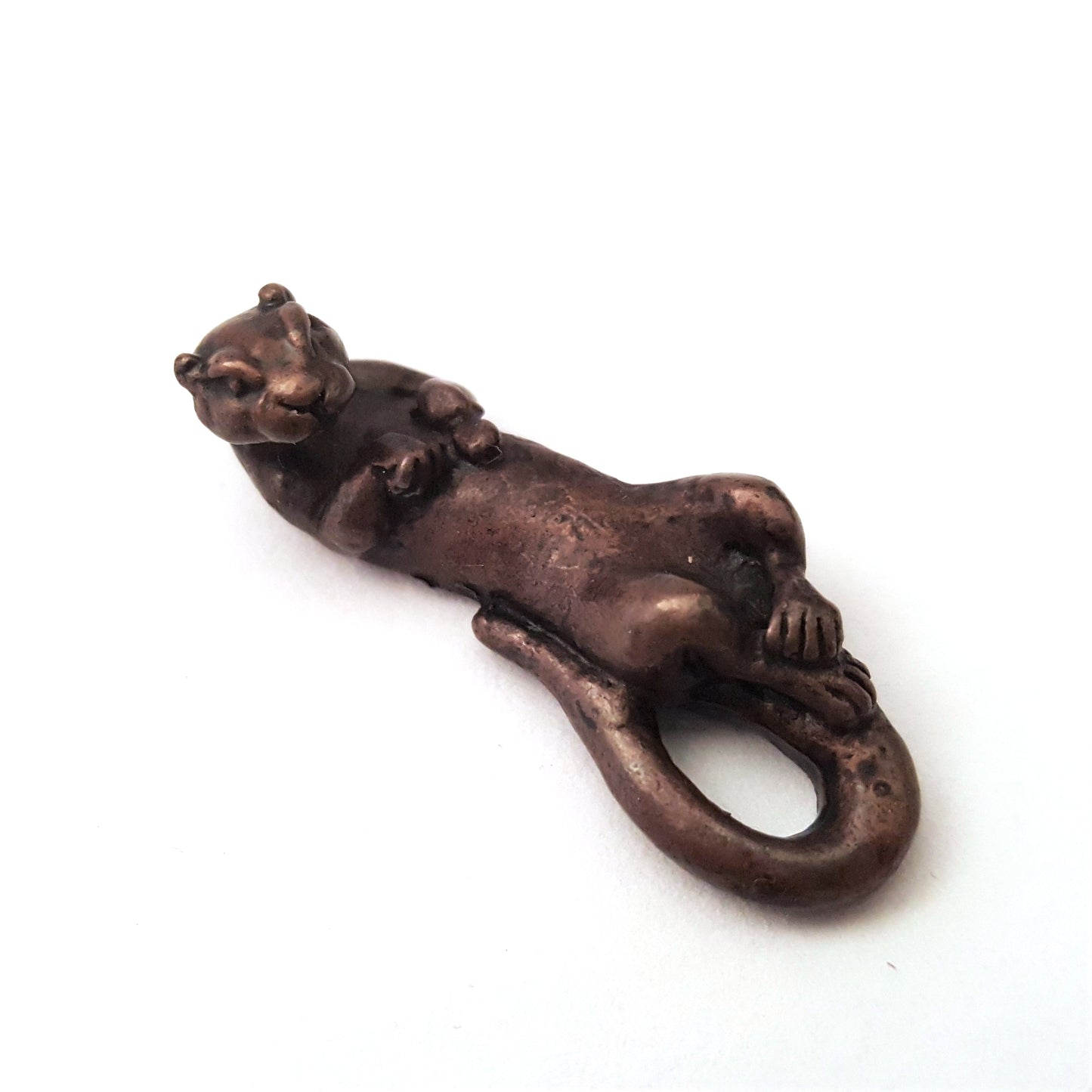 Otter Swimming on Back