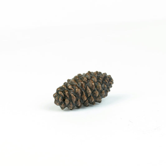 Pine Cone