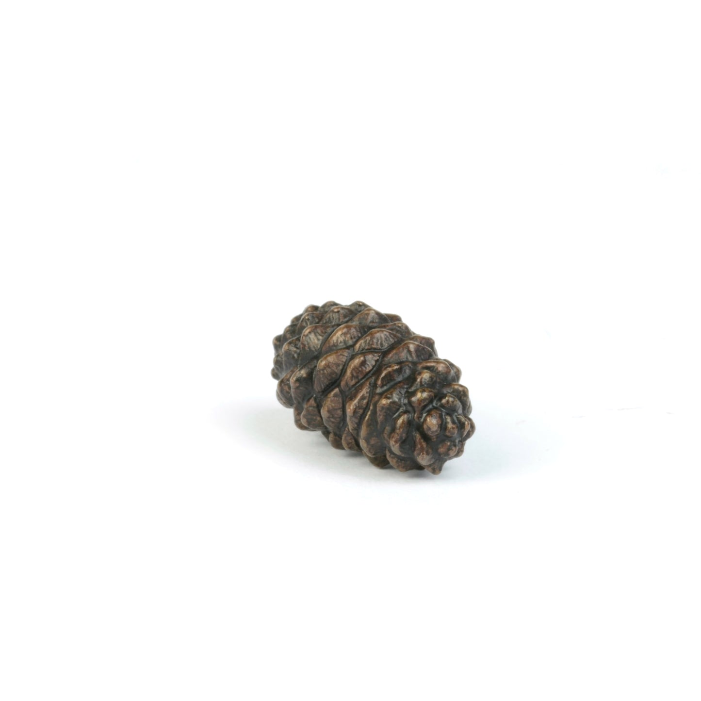 Pine Cone