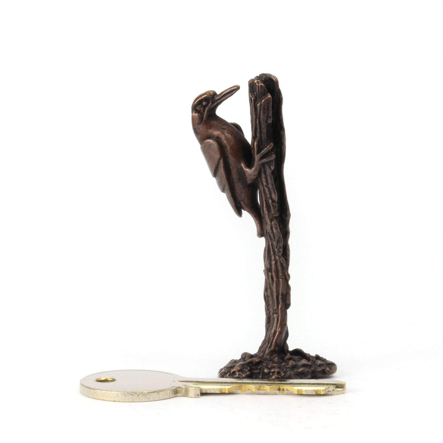 Woodpecker on Tree Stump