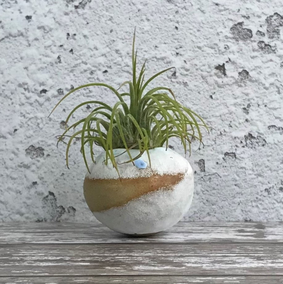 Small Buff Clay Pebble Pot