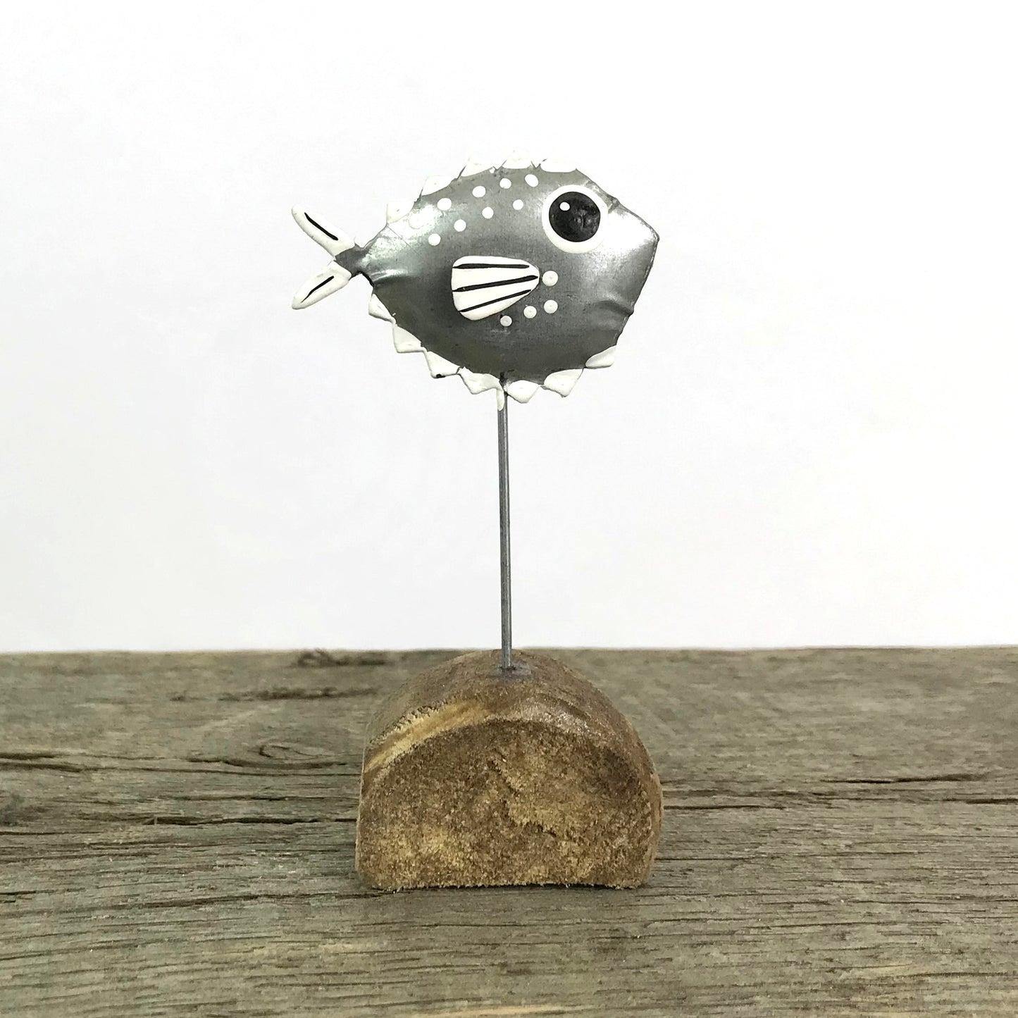 Tin Puffer Fish