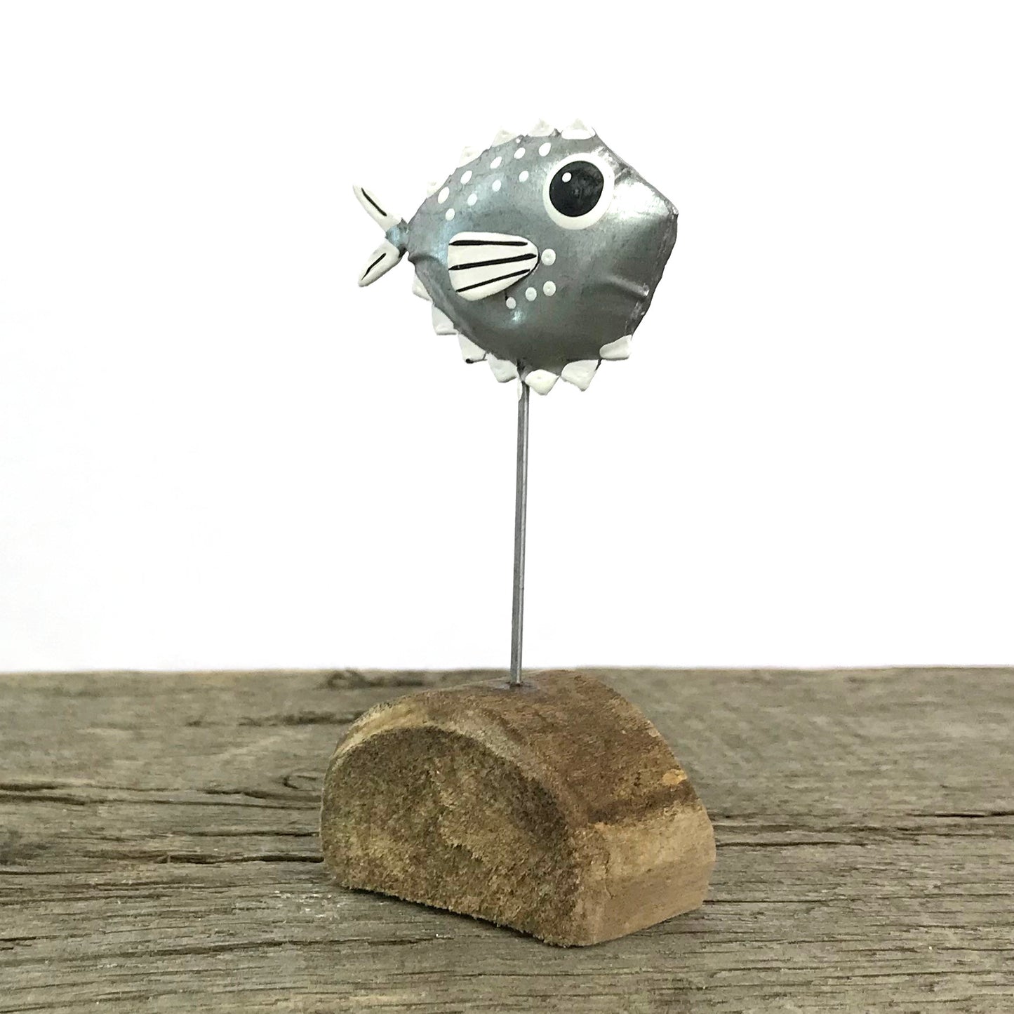 Tin Puffer Fish
